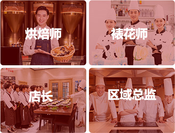 体系化就业网络覆盖广